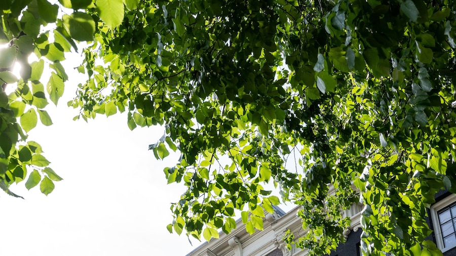 Amsterdam Dockside Flats