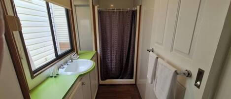 A narrow bathroom with a sink, mirror, and shower curtain.