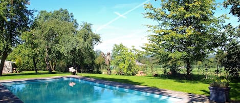 Outdoor pool, sun loungers