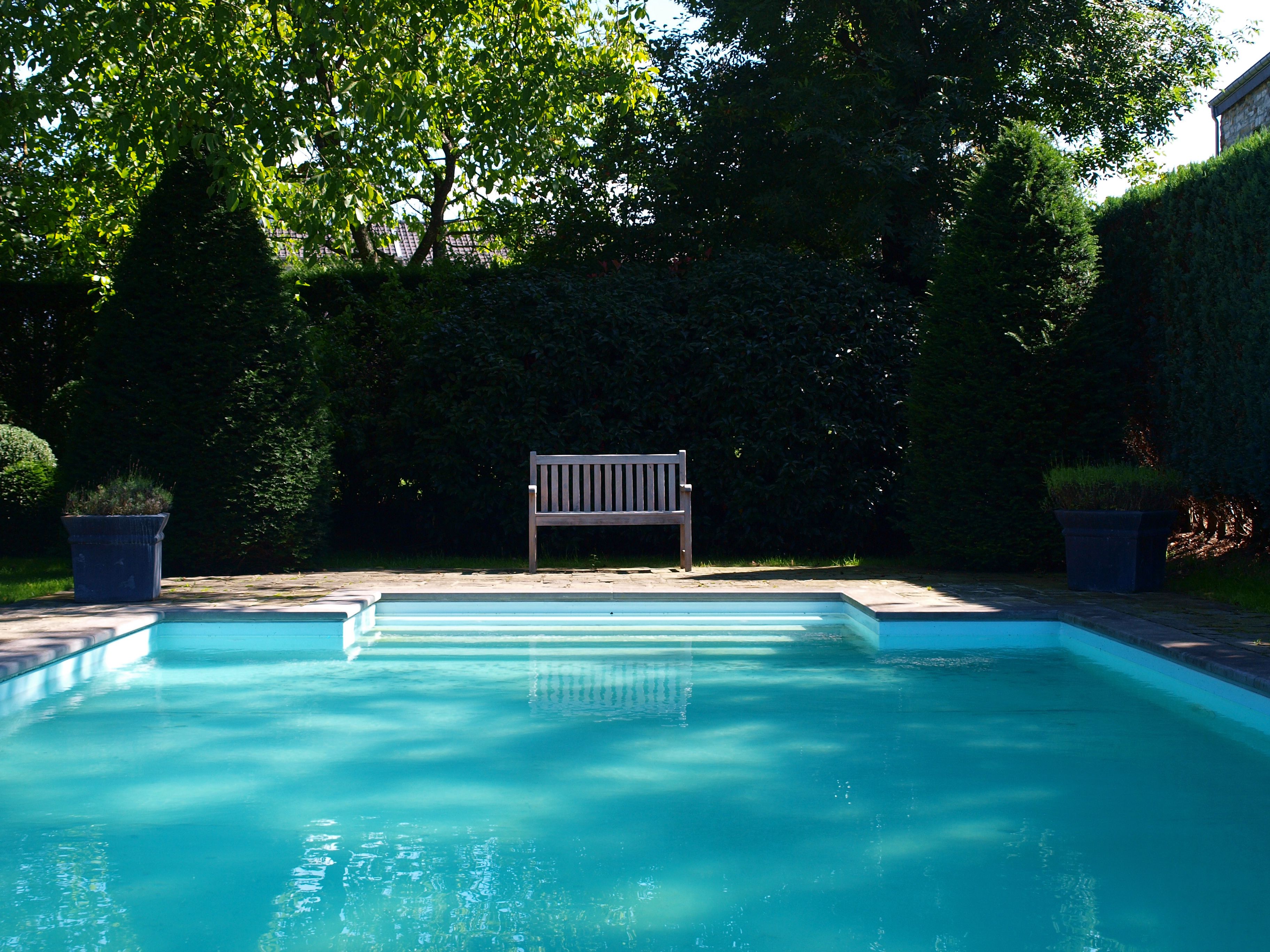 Una piscina con un banco de madera en el centro, rodeada de follaje y un seto.
