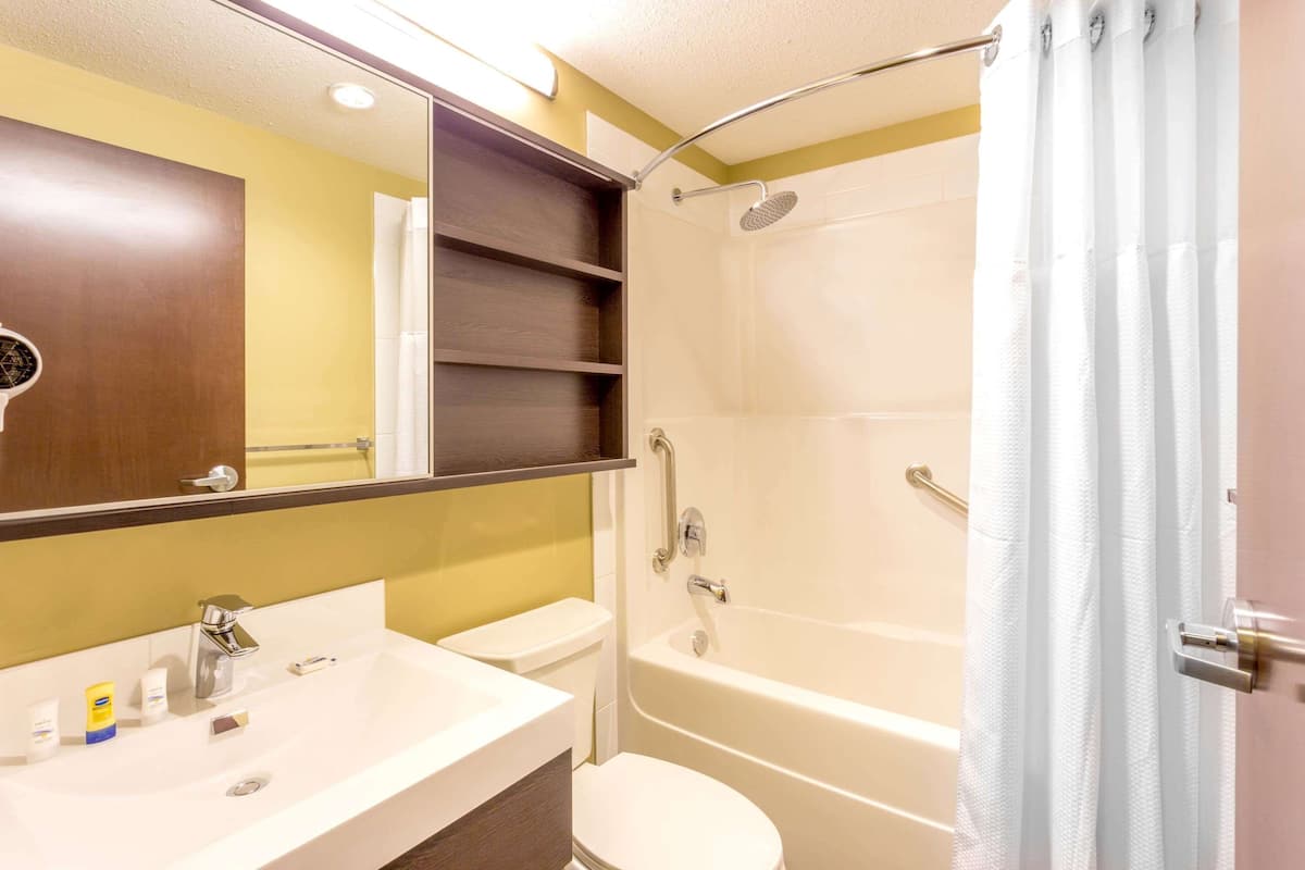 combined shower/bathtub, free toiletries, hair dryer, towels