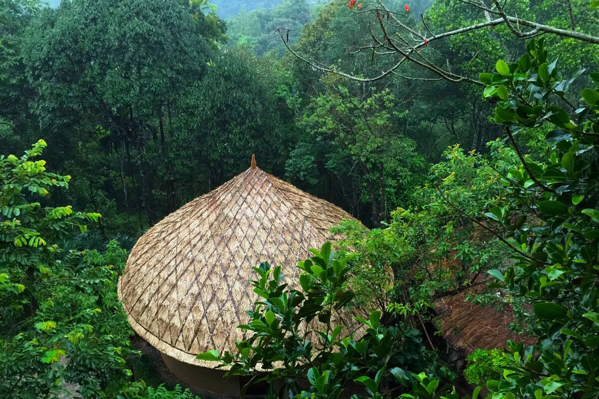 Une hutte au toit de chaume, entourée d’une forêt dense.