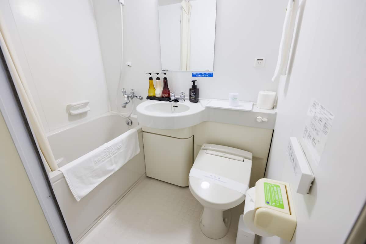 combined shower/bathtub, hair dryer, slippers, electronic bidet