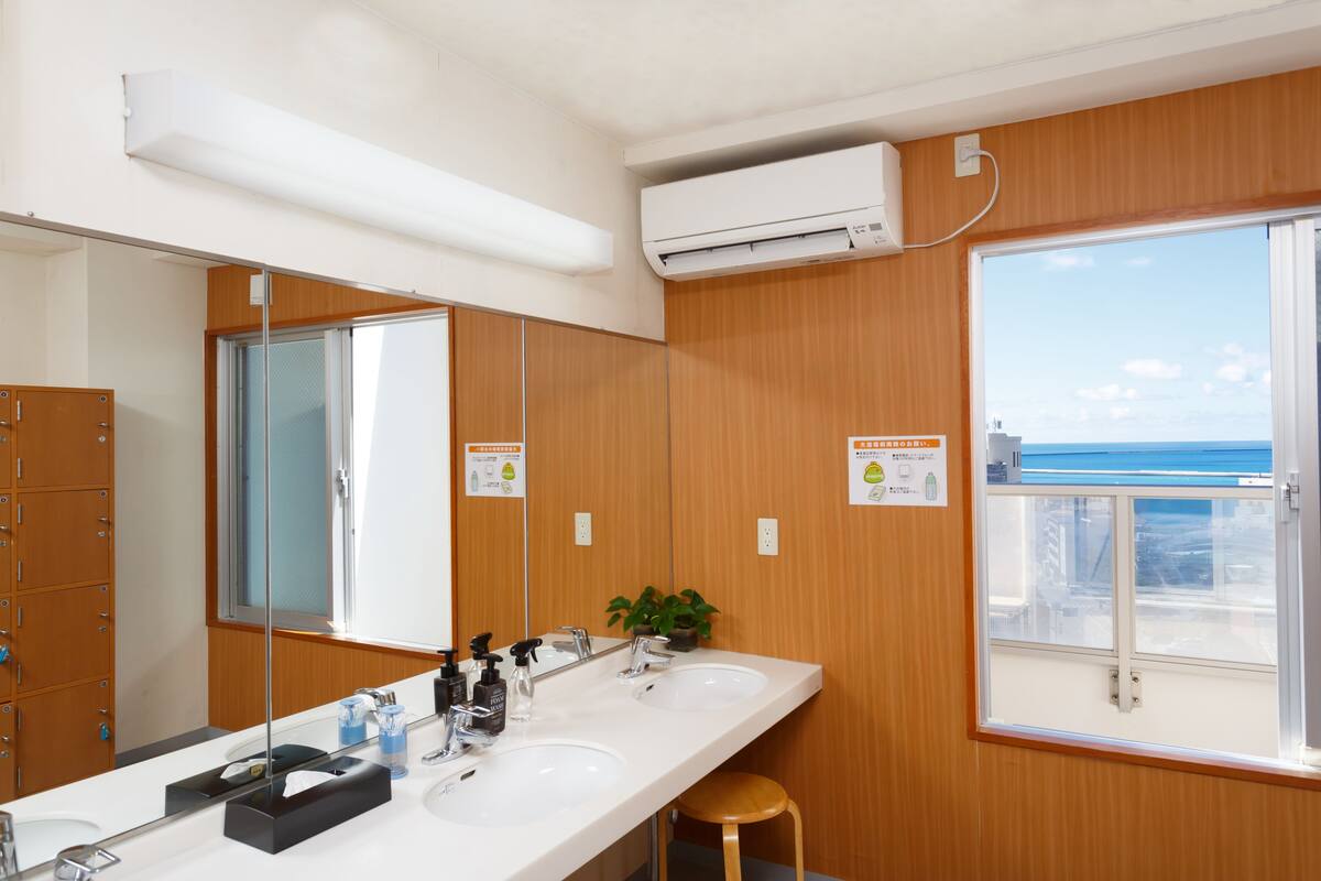 combined shower/bathtub, hair dryer, slippers, electronic bidet