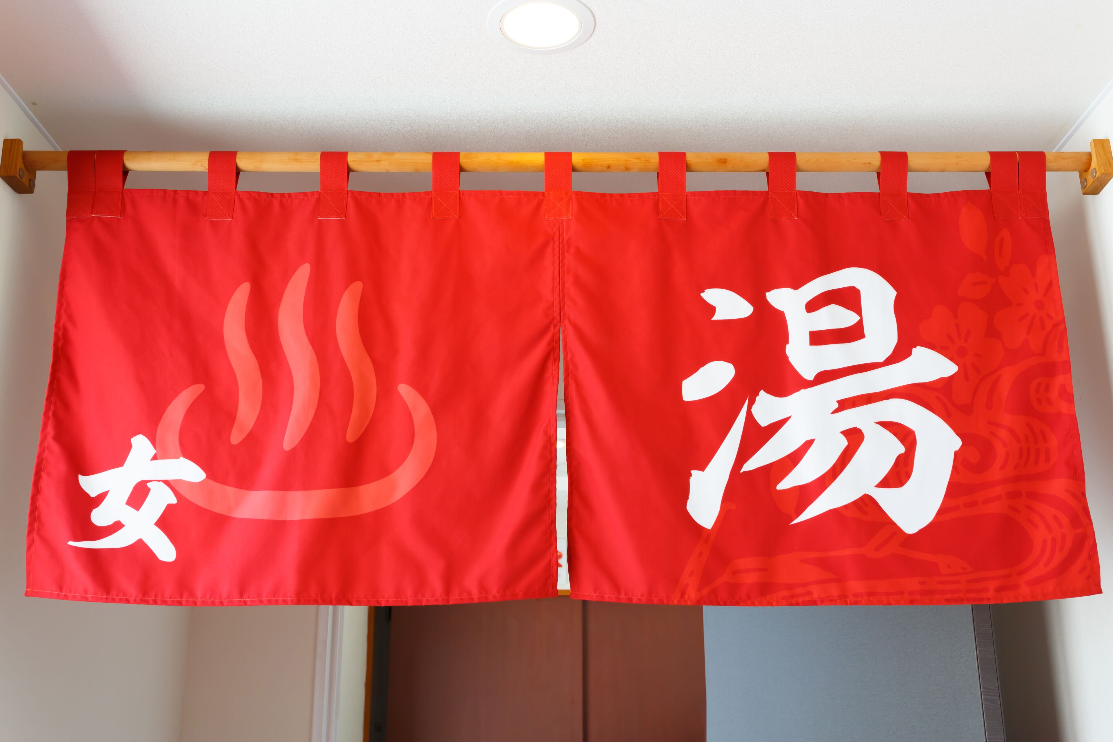 combined shower/bathtub, hair dryer, slippers, electronic bidet