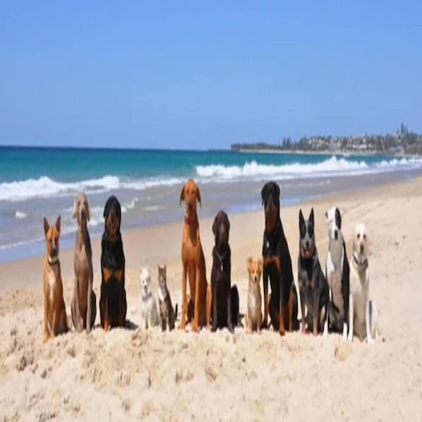 Strand