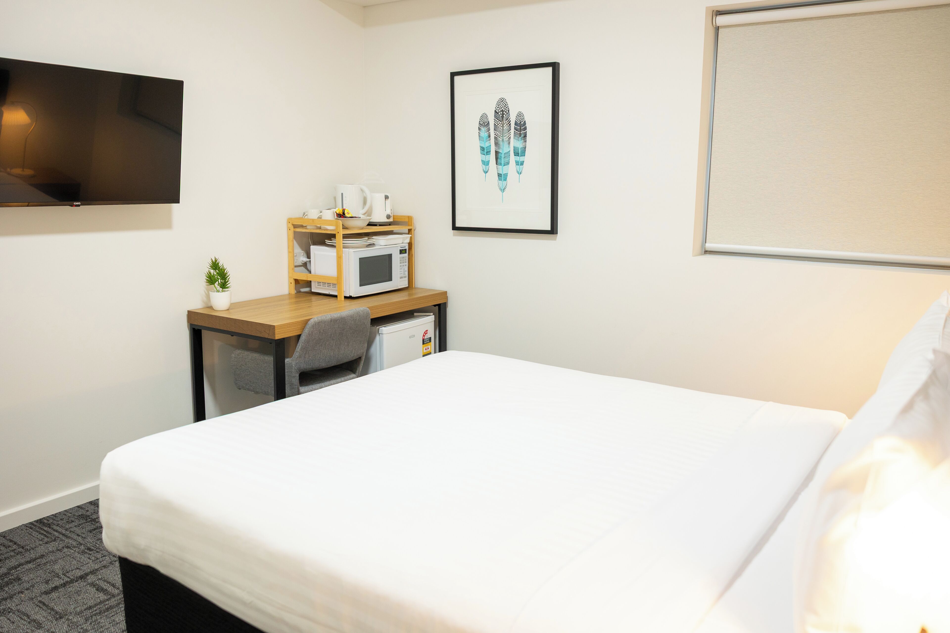 A hotel room with a bed, a desk with a microwave, a small potted plant, a framed feather artwork, and a television mounted on the wall.