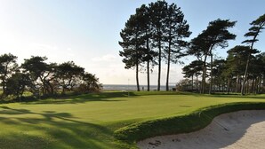 A golf course with a sand bunker, tall trees, and a clear sky. - Nötesjö Hotell (Svedala)