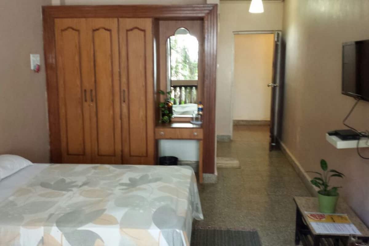 A bedroom with a bed, a wooden wardrobe, a small desk with a mirror, a television on the wall, and a potted plant.