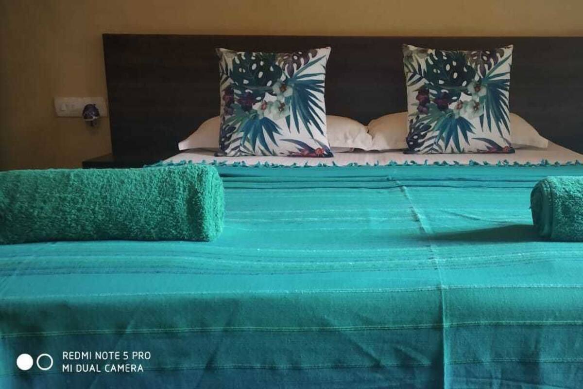 executive room (ac) | blackout curtains, iron/ironing board, free wifi