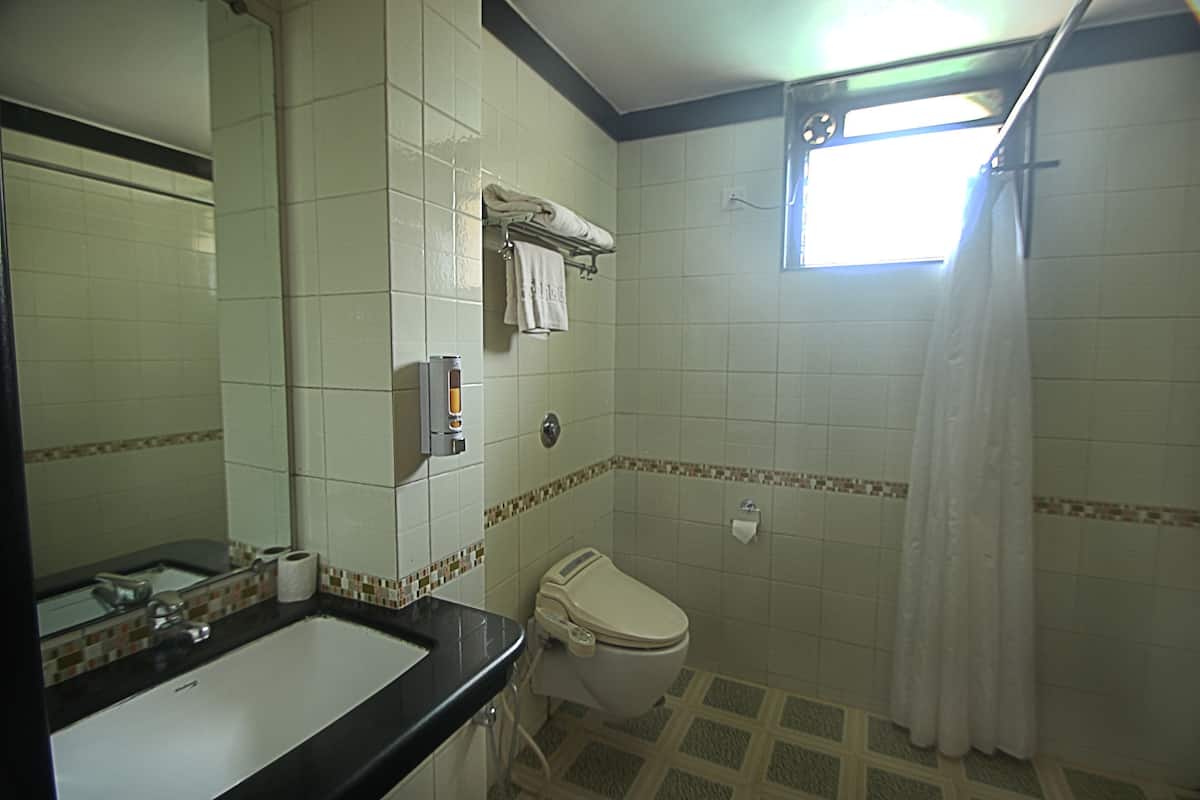 shower, free toiletries, hair dryer, bidet