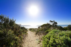 A sandy path leading to a beach with dense greenery on both sides. - Discovery Parks - Robe (Robe)