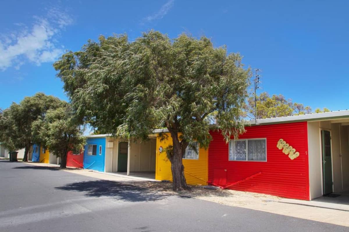 A row of colorful mobile homes with a tree in the foreground.
