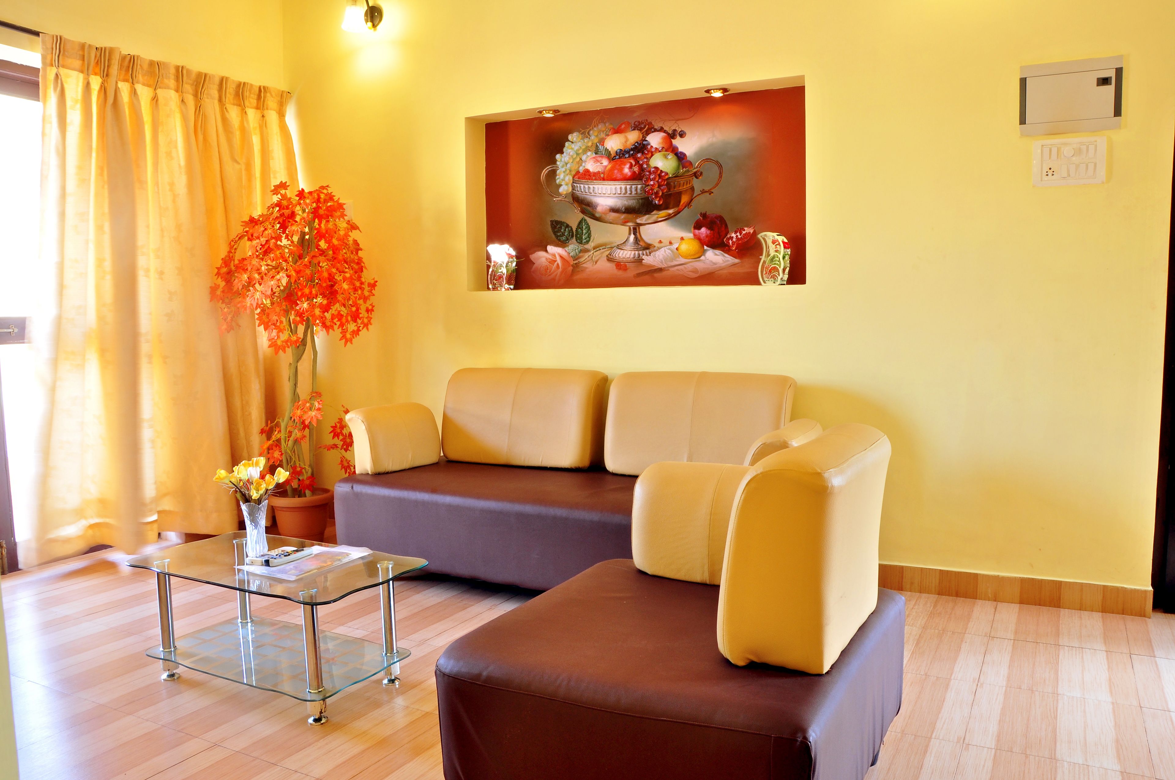 A living room with a sofa, a glass coffee table, and a potted plant.