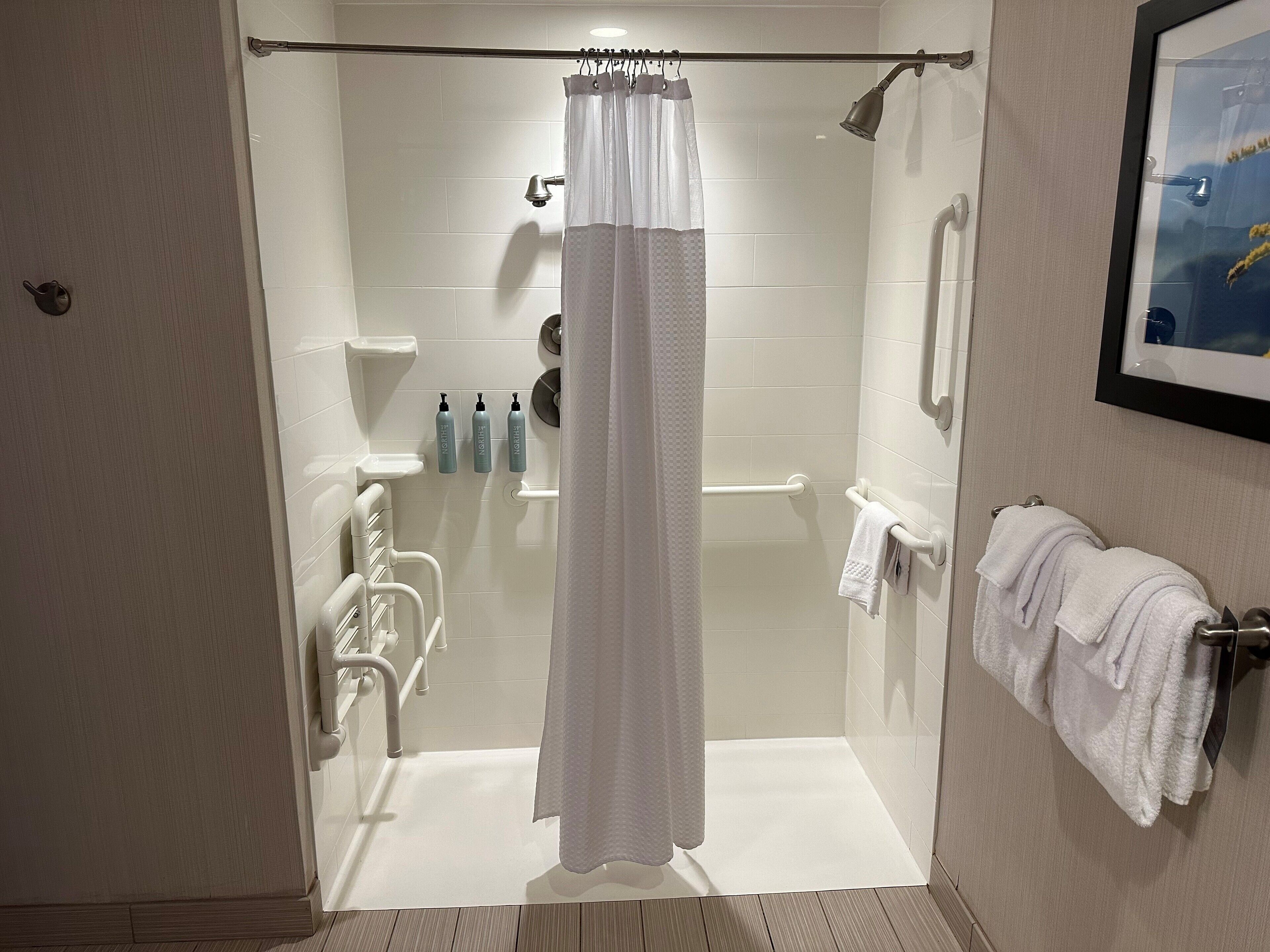 room, 1 king bed with sofa bed (mobility/hearing access, roll-in shwr) | bathroom | combined shower/bathtub, hair dryer, towels