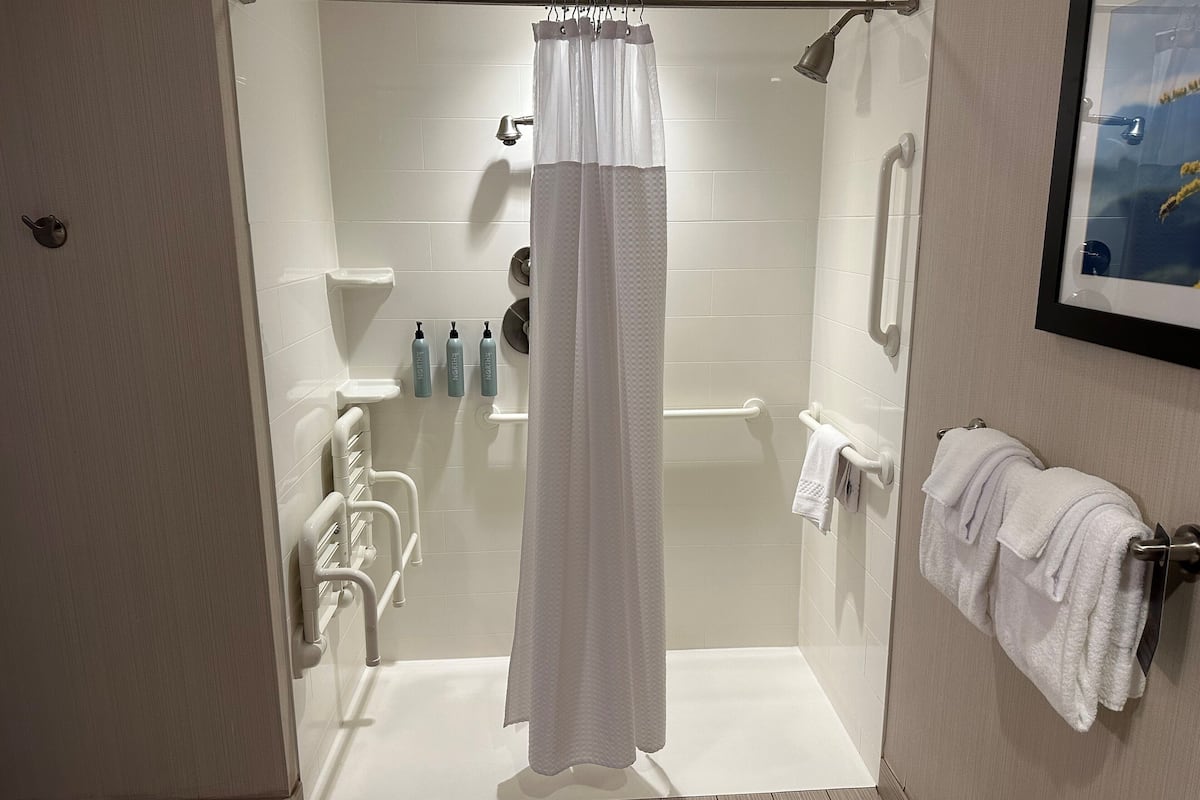 room, 1 king bed with sofa bed (mobility/hearing access, roll-in shwr) | bathroom | combined shower/bathtub, hair dryer, towels