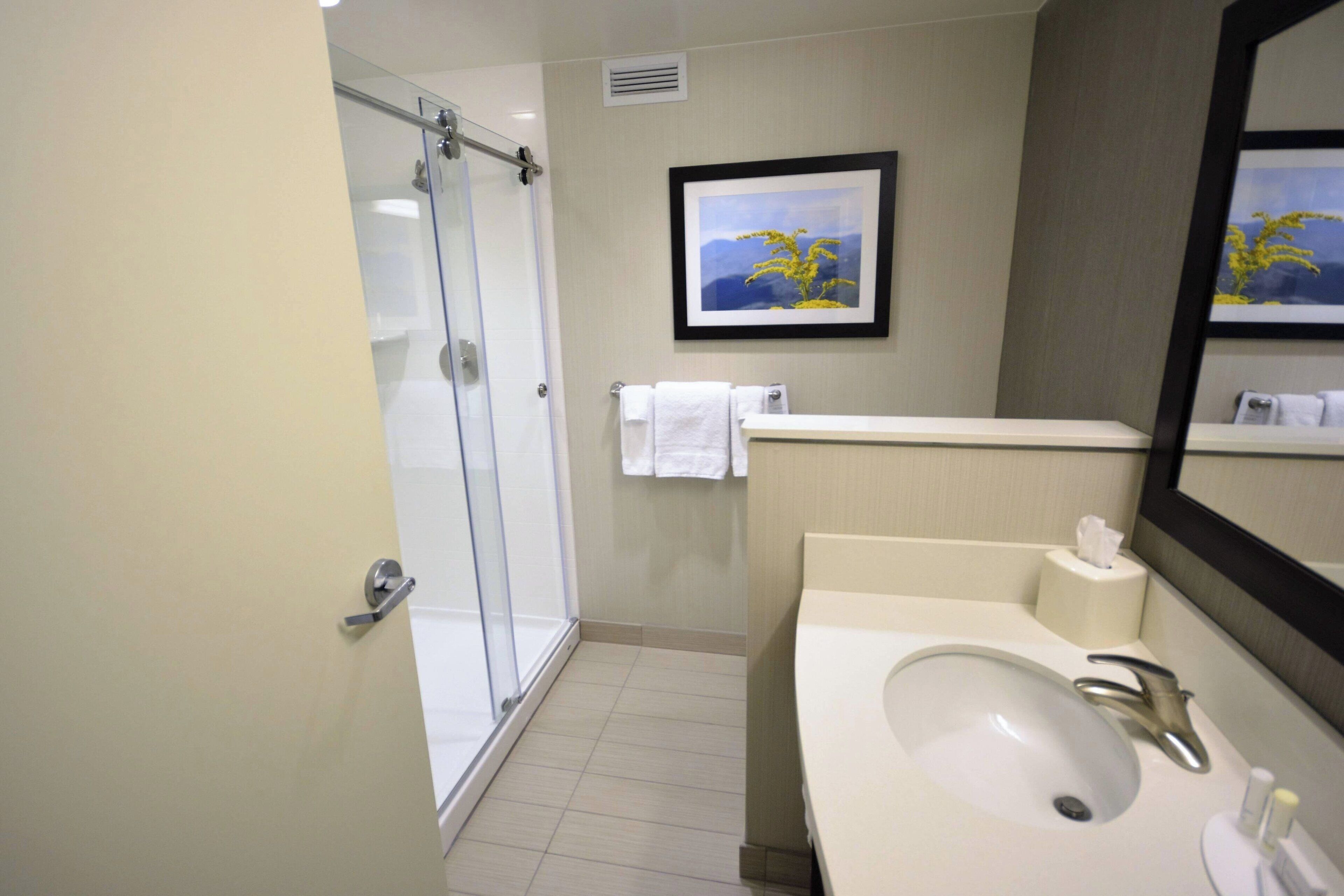 A modern bathroom with a glass shower, a sink with a mirror, and a framed picture on the wall.
