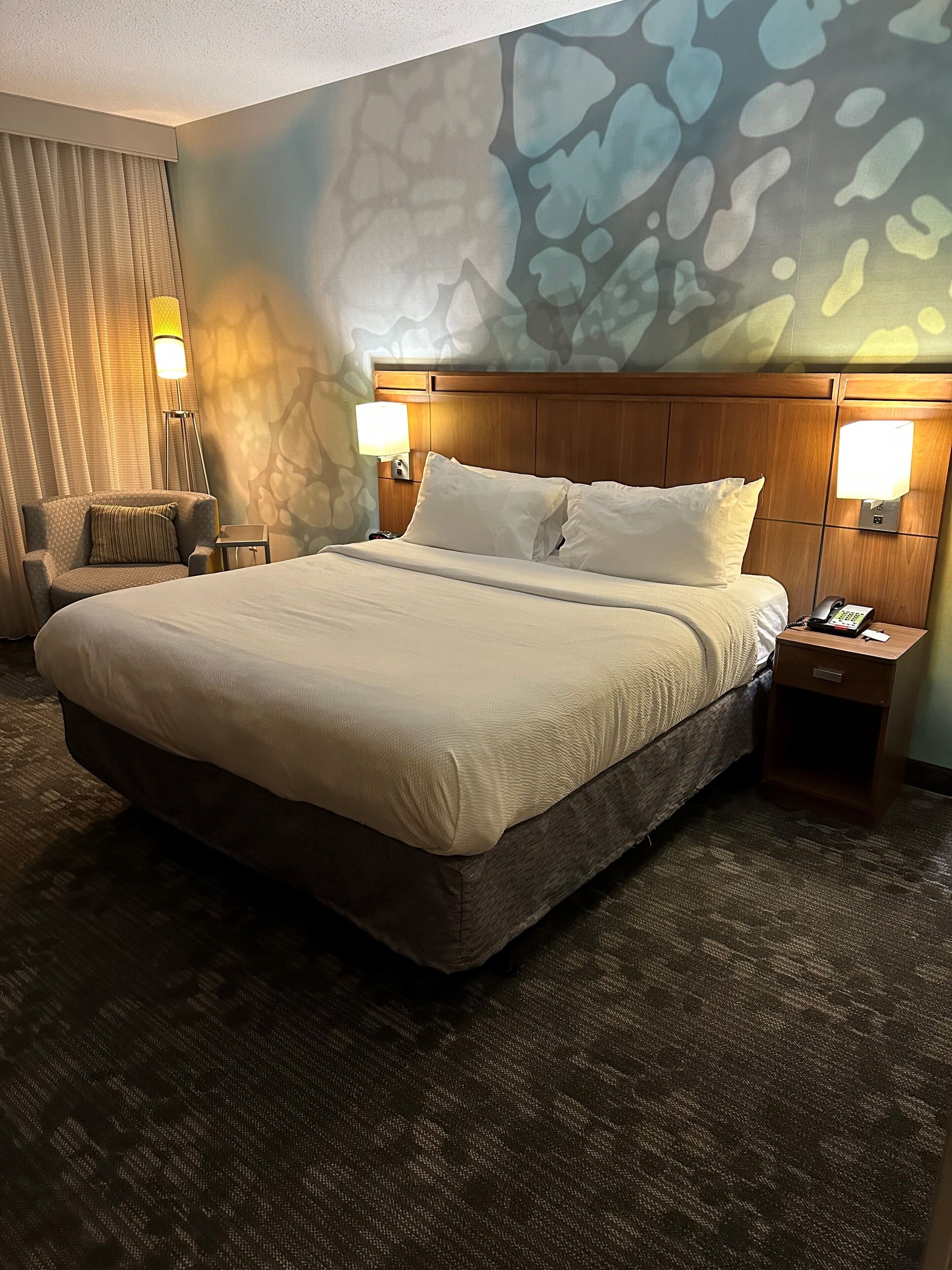 room, 1 king bed with sofa bed (mobility/hearing access, roll-in shwr) | 1 bedroom, desk, laptop workspace, iron/ironing board