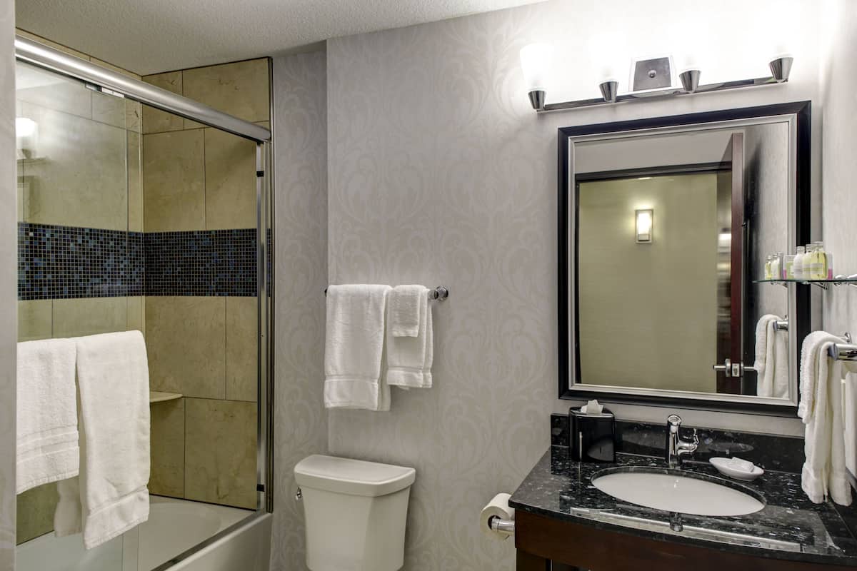 shower, rainfall showerhead, free toiletries, hair dryer