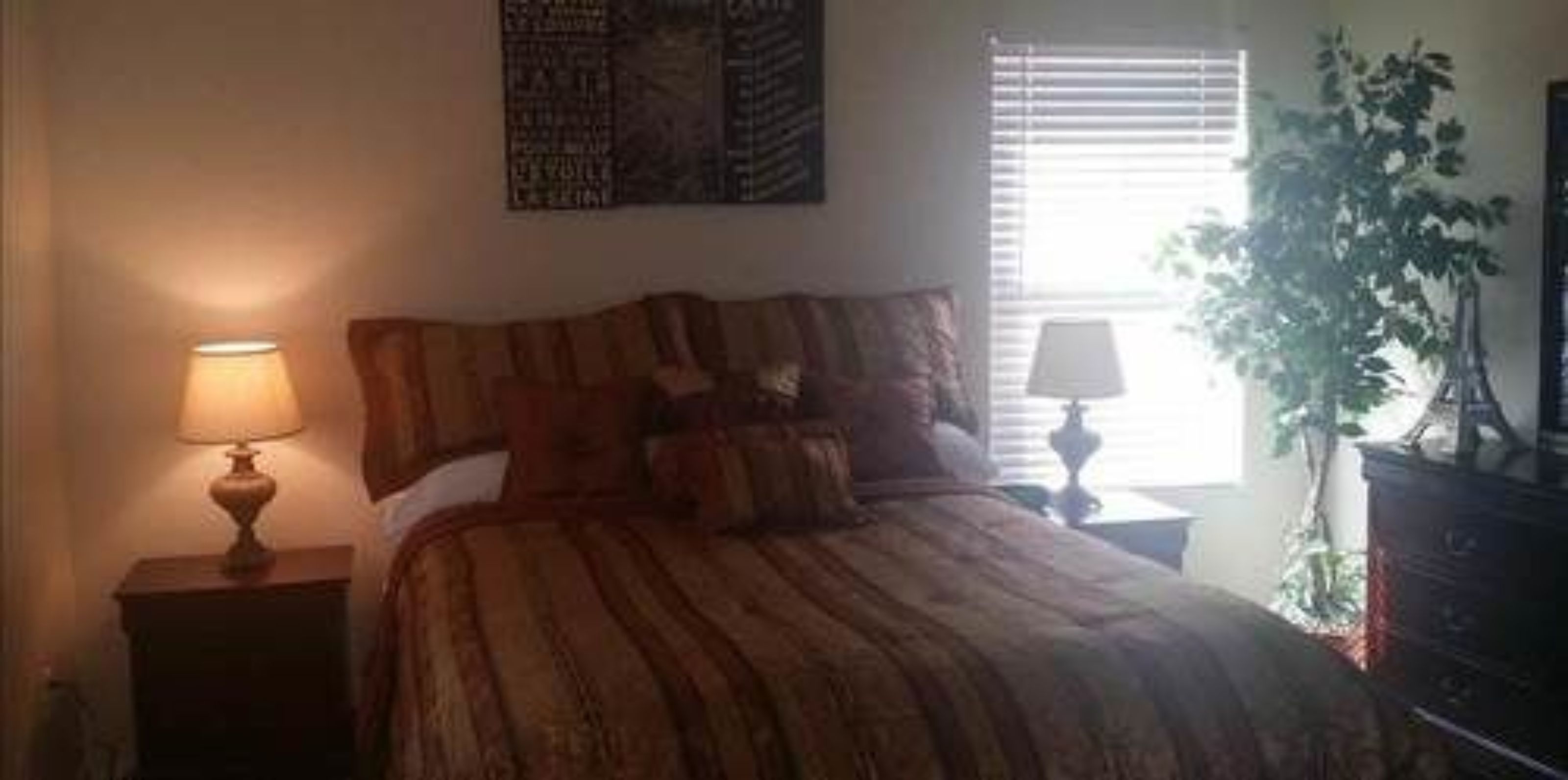A bedroom with a bed, two bedside lamps, a window with blinds, and a potted plant.