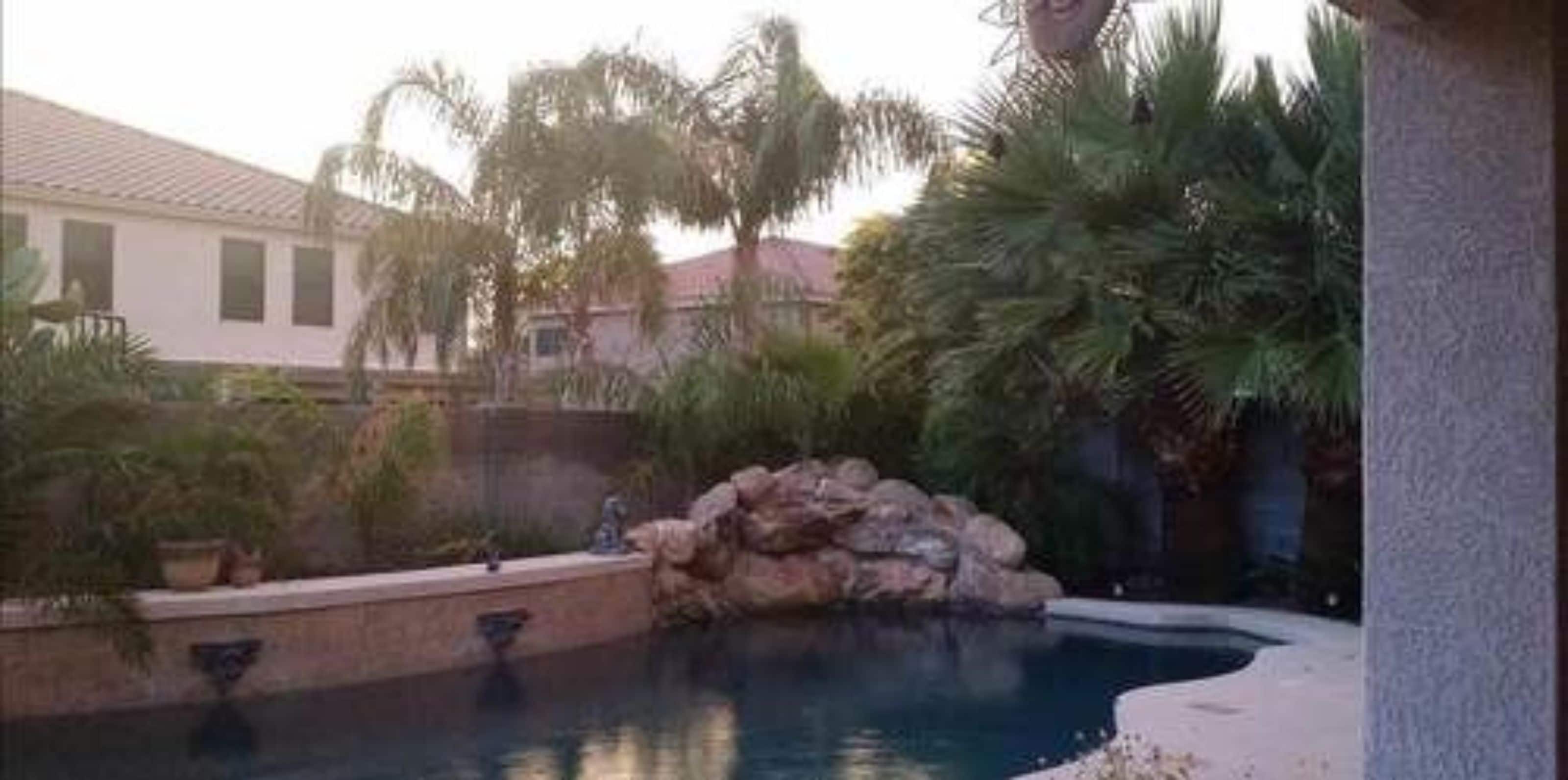 A swimming pool with a rock feature, surrounded by palm trees and a house in the background.
