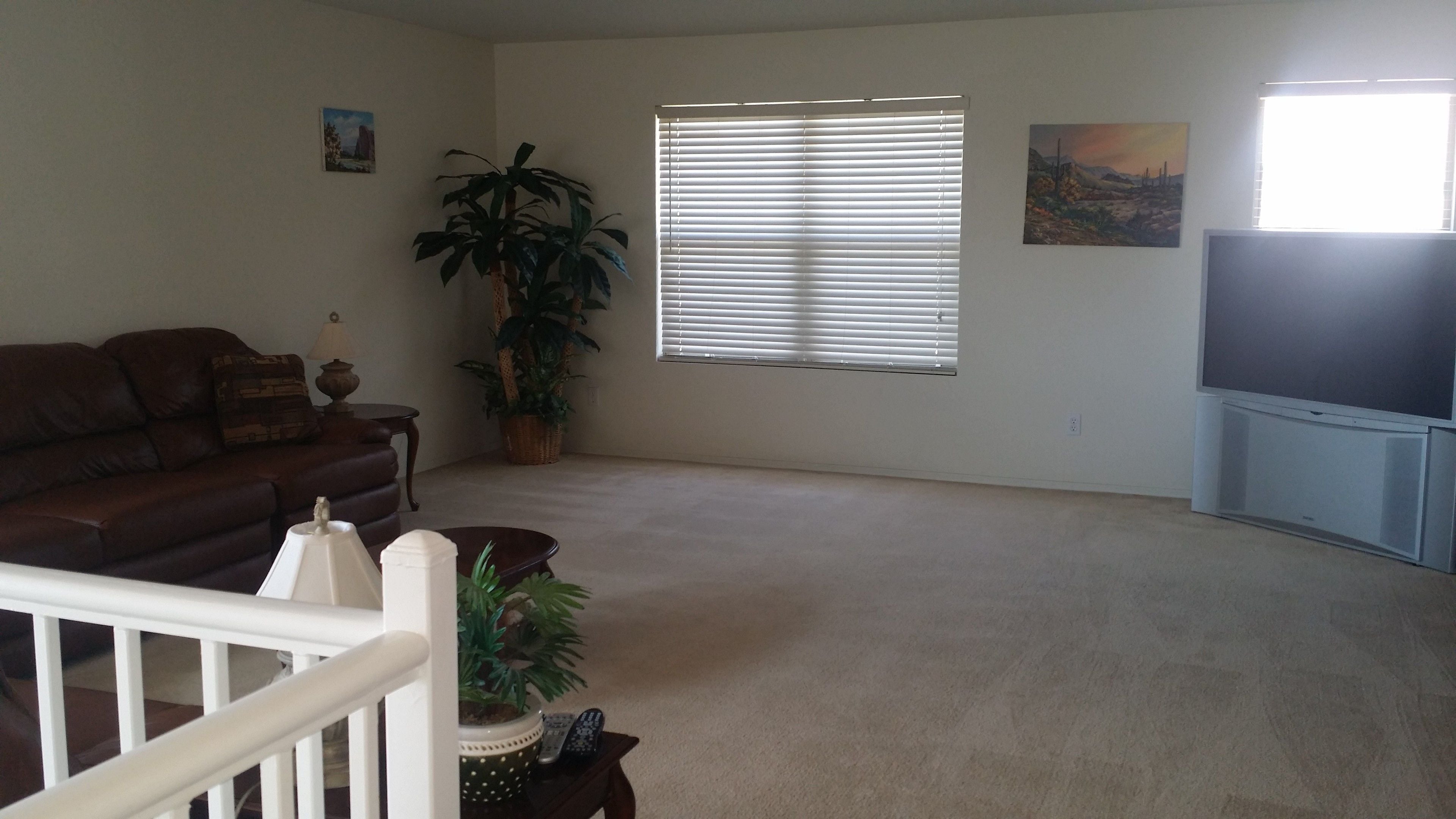 A living room with a brown leather couch, a large potted plant, a flat-screen TV, and a window with blinds.