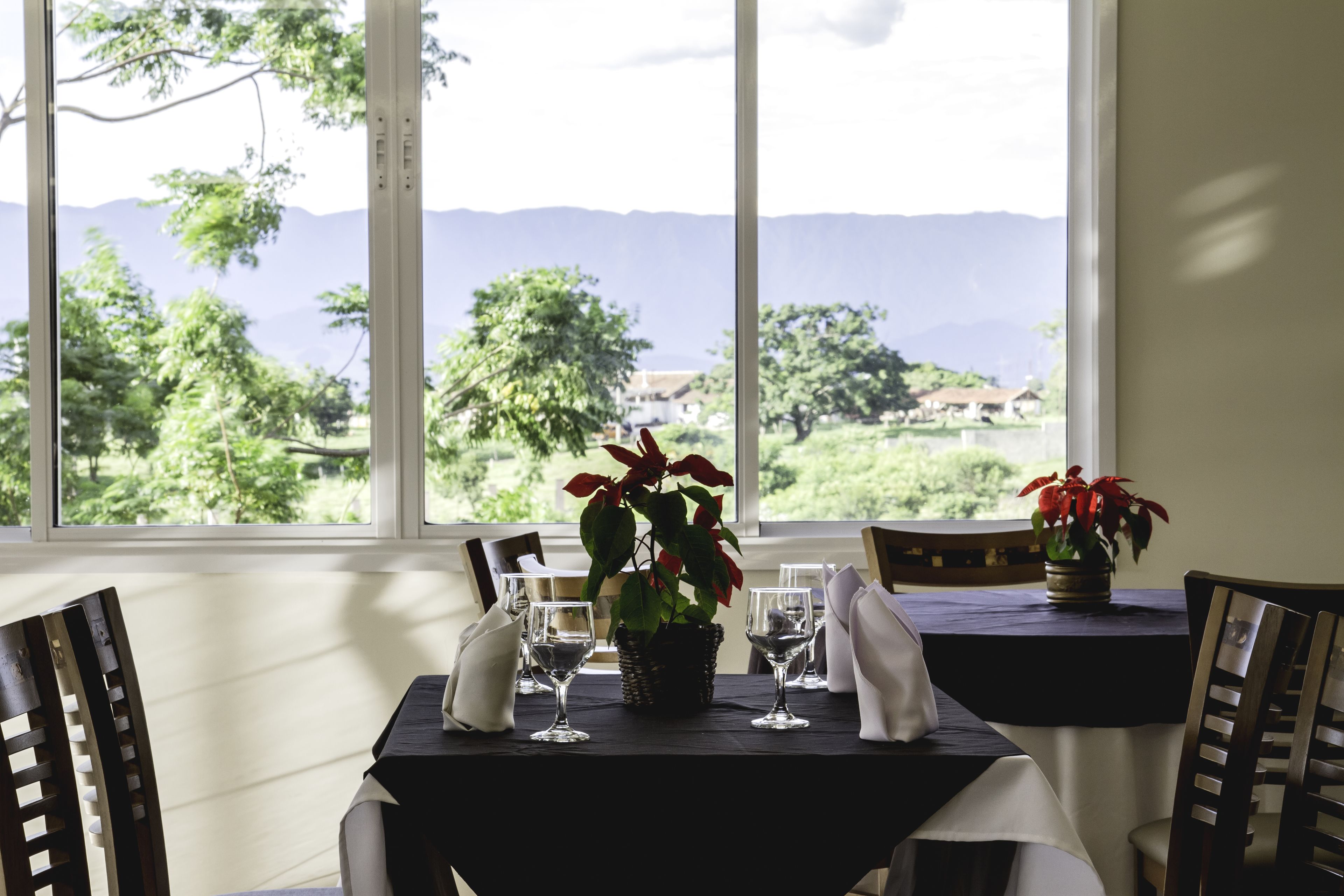 供应午餐和晚餐，巴西菜