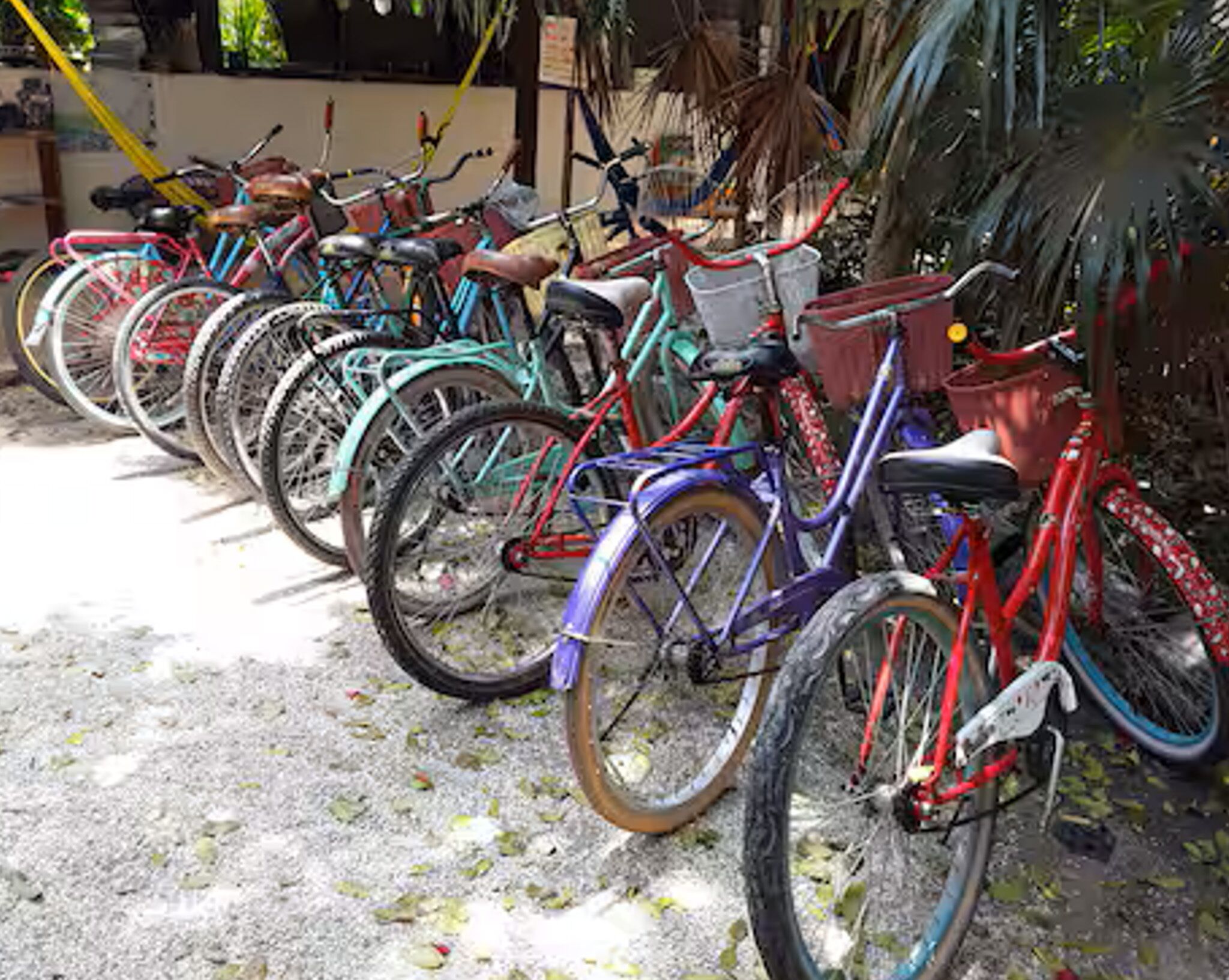 Foto - Tubo Tulum Hostel - Unique Stay