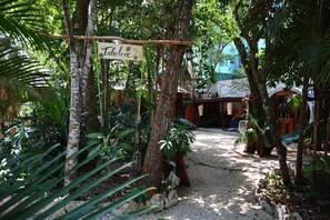 Exterior - Tubo Tulum Hostel (Tulum)