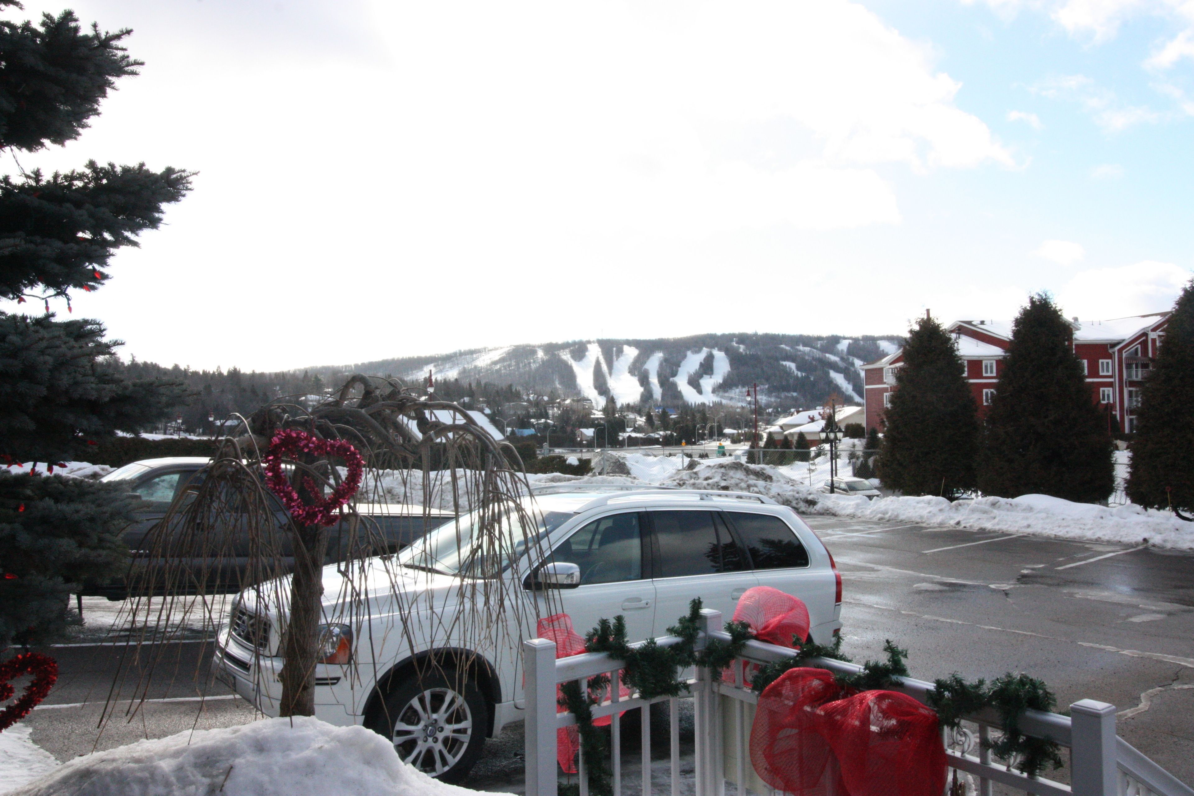Un estacionamiento con un SUV blanco y un coche negro, rodeado de suelo y árboles cubiertos de nieve.