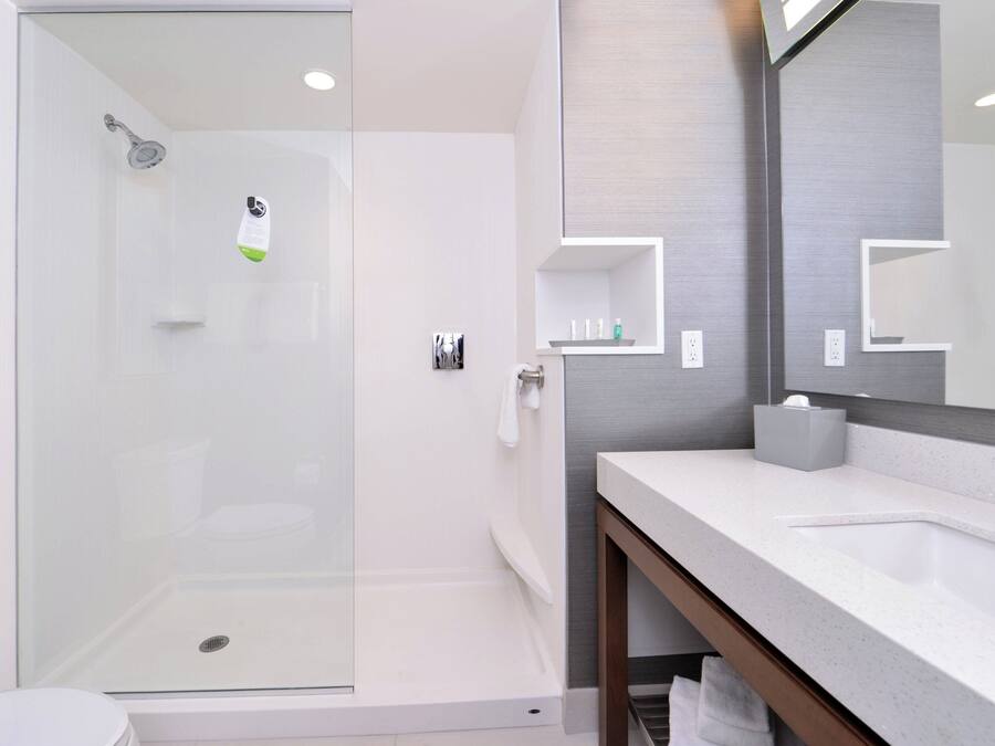 A modern bathroom with a glass shower enclosure, a white sink, and a large mirror.