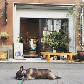 Entrada de la propiedad