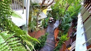 Un sendero estrecho y sinuoso rodeado de abundante vegetación y plantas en macetas, que conduce a la entrada de un edificio.