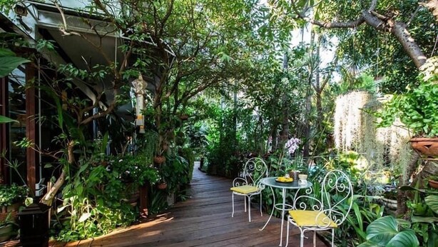 Un sendero de madera rodeado de abundante vegetación que lleva a un pequeño espacio al aire libre con sillas y una mesa de metal.