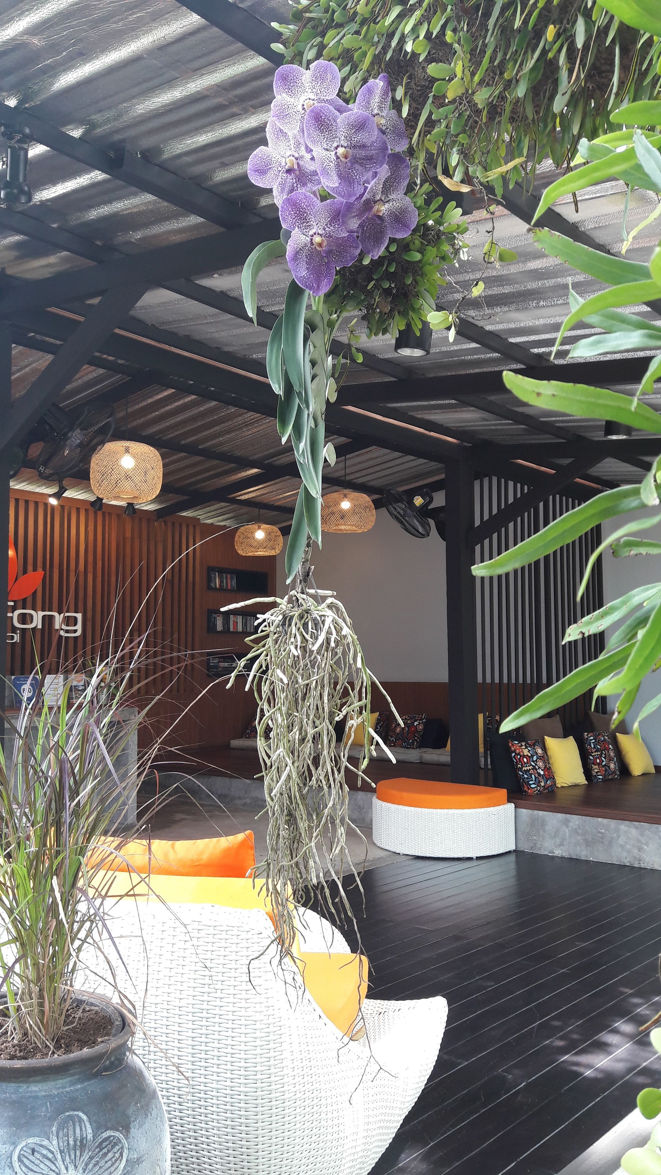 Photo - The Fong Krabi resort