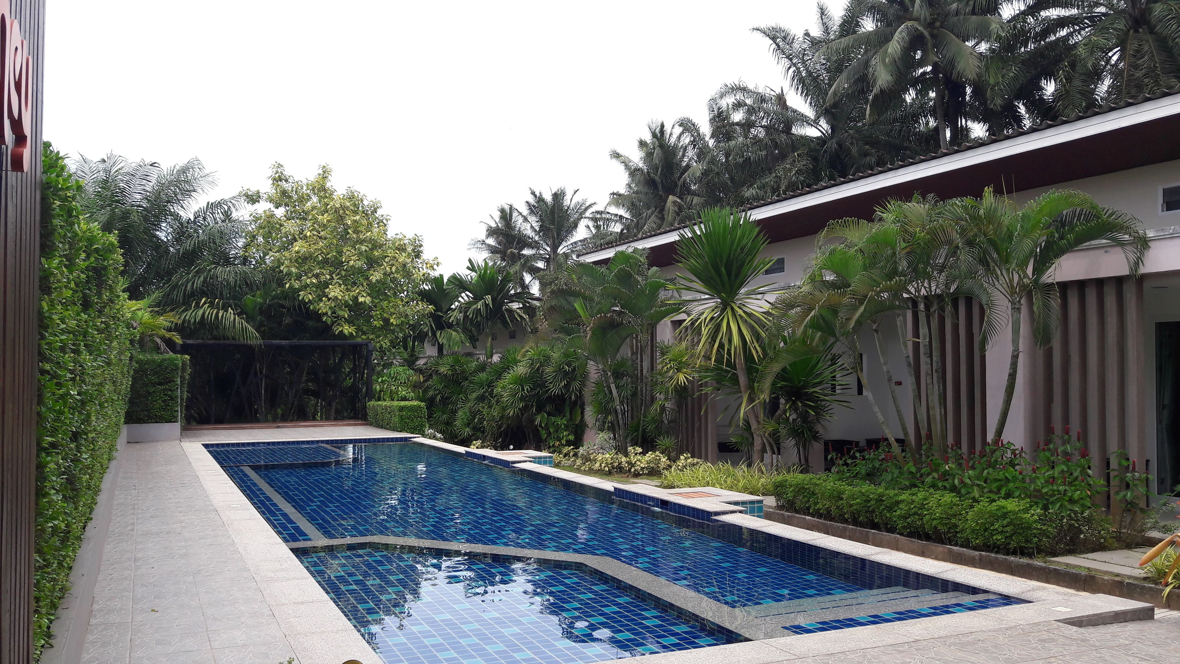 Piscina rectangular con azulejos azules, rodeada de exuberante vegetación y palmeras.
