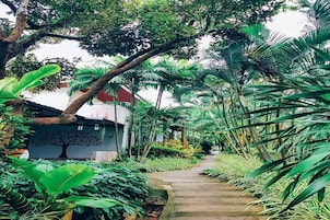 Un sendero rodeado de exuberante vegetación y un edificio con un mural de árboles.