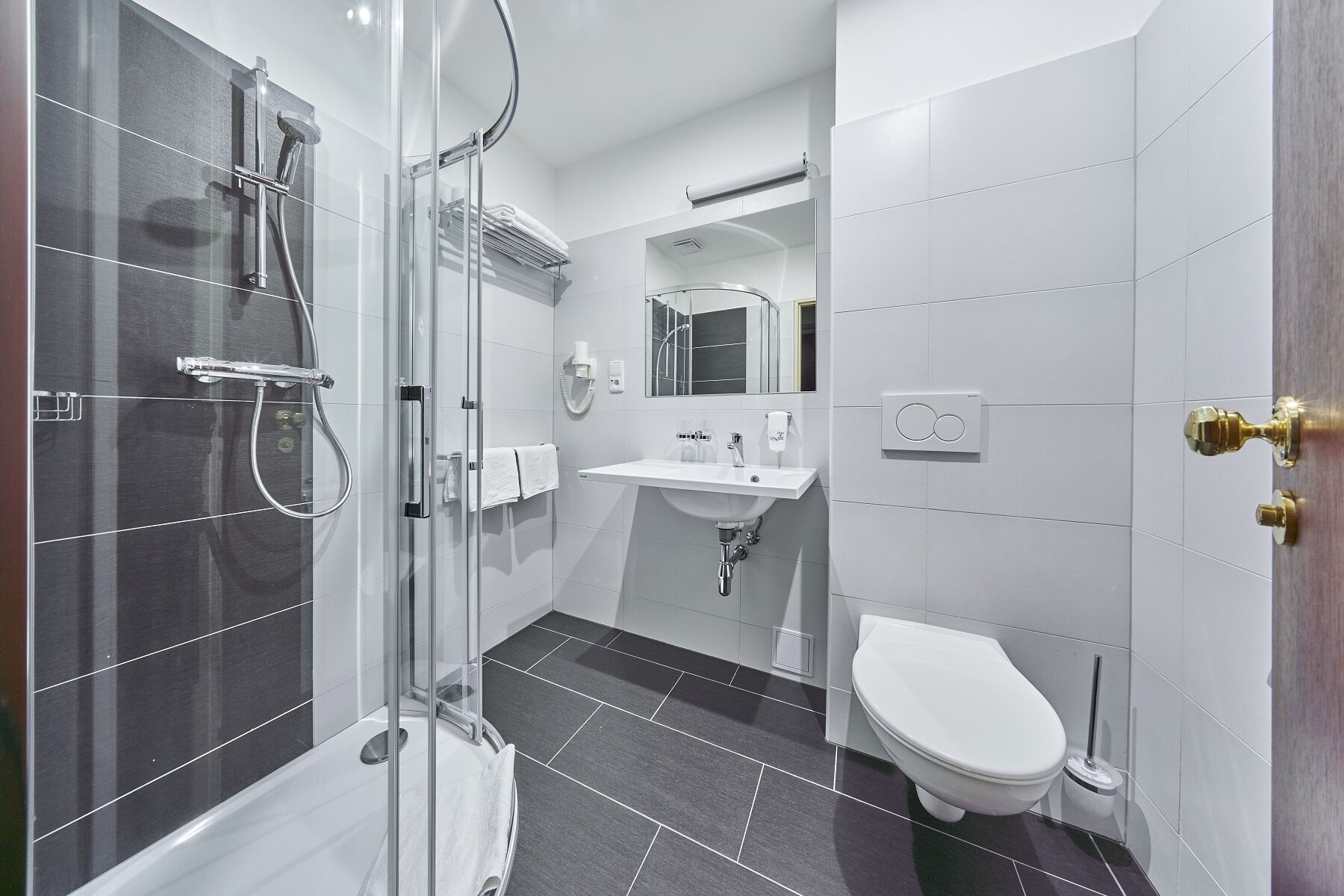 A modern bathroom with a glass-enclosed shower, a white sink, and a toilet.