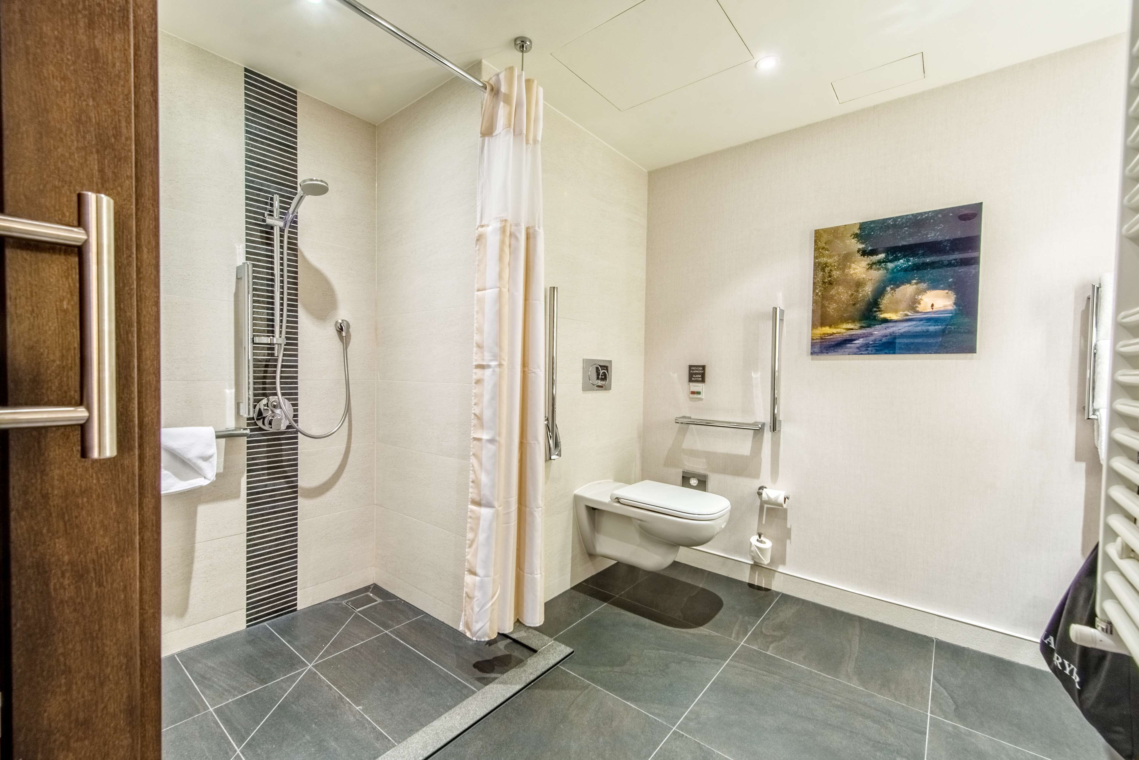 room, 1 queen bed, accessible | bathroom shower