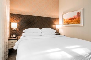 In-room safe, iron/ironing board, free cribs/infant beds, WiFi - Embassy Suites Louisville Downtown (Louisville)