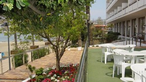 A terrace with white plastic chairs and tables, surrounded by a railing. There is a tree and a flower bed with various flowers. - Arenal (Sant Antoni de Portmany)