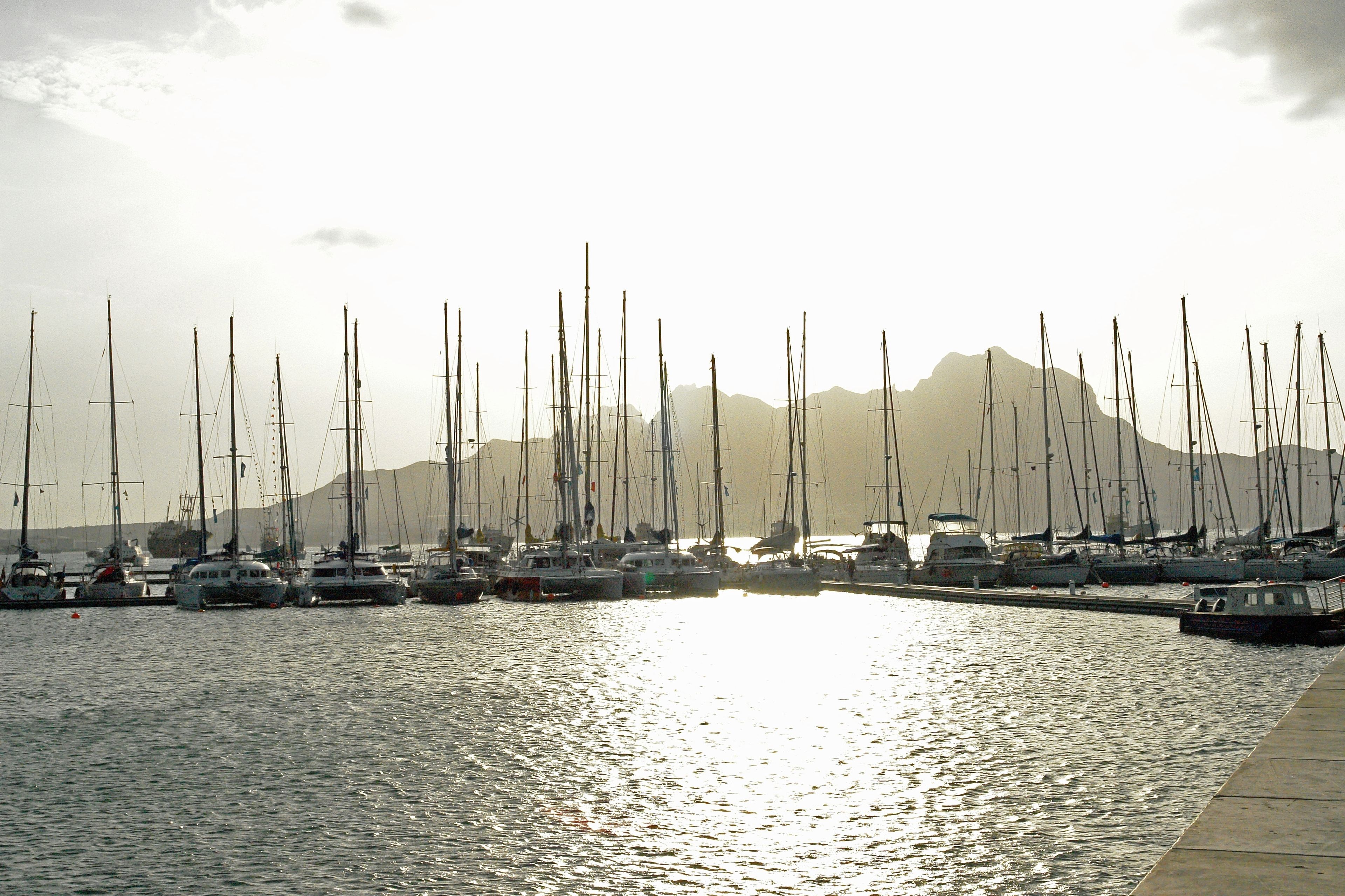 Eine Marina mit mehreren Segelbooten, eine ruhige Wasseroberfläche, die das Sonnenlicht reflektiert, und eine gebirgige Kulisse.