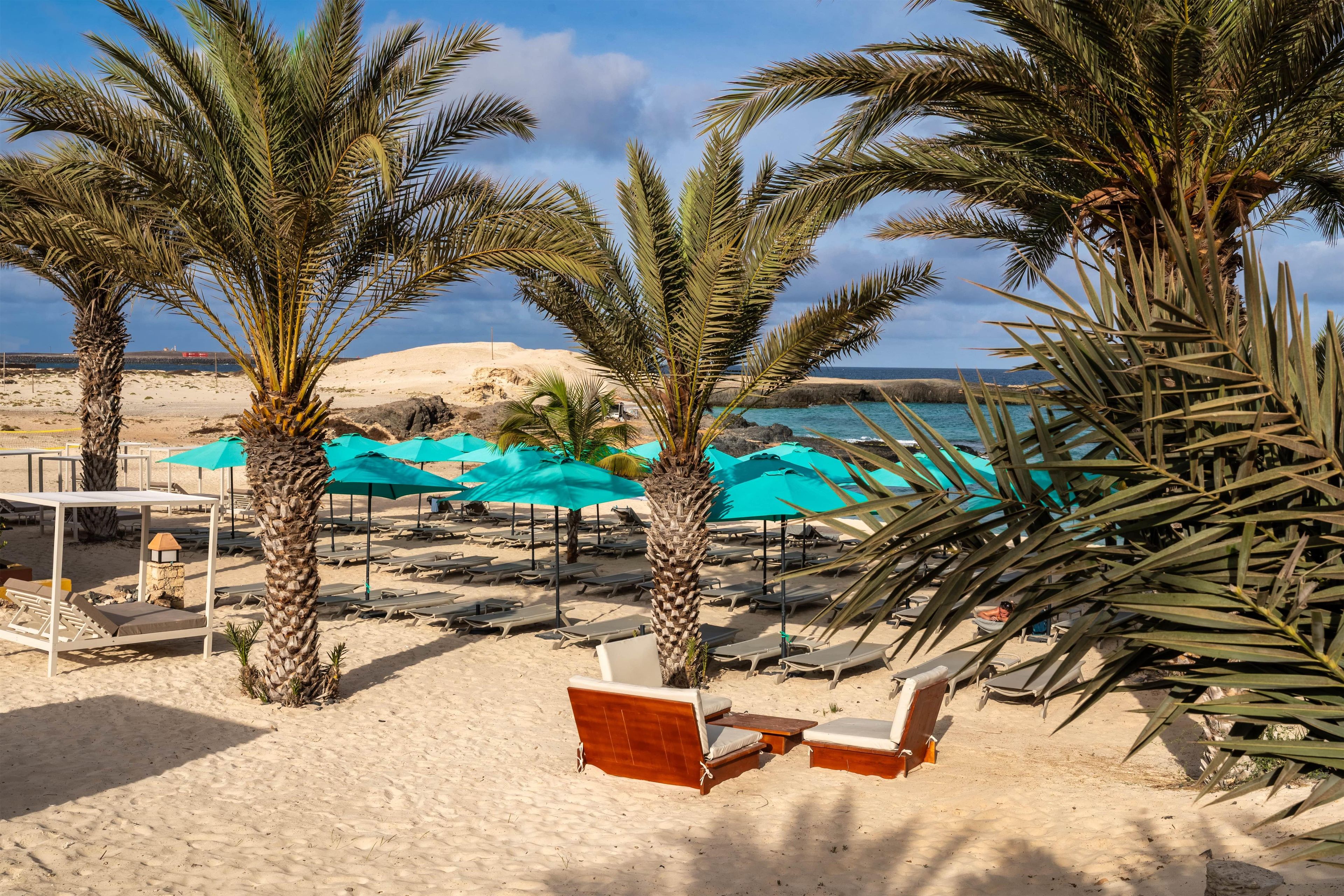 Ein Strand mit Palmen, Liegestühlen und Sonnenschirmen.