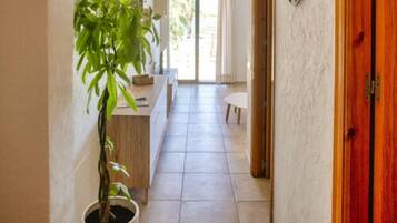 Un pasillo con una planta en maceta, una puerta de madera y un reloj en la pared.