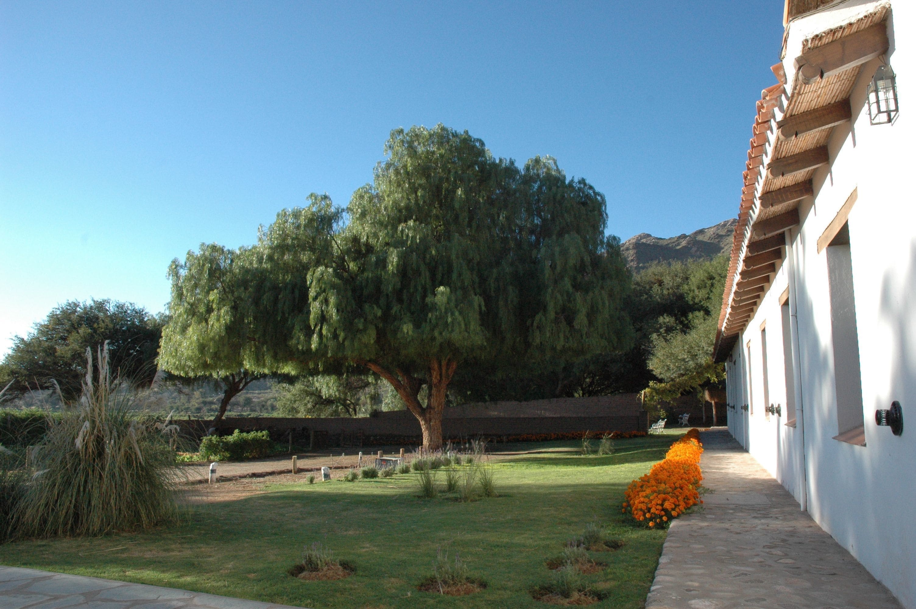 Premium bedding, down duvets, minibar, individually decorated