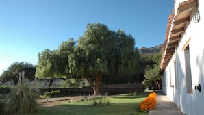 A building with a white exterior and a tiled roof, surrounded by a well-maintained lawn and a large tree. - Hacienda de Molinos (Molinos)