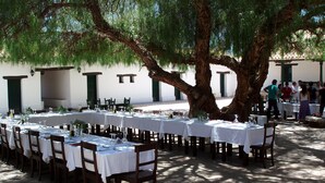 An outdoor dining area with tables set for a meal, surrounded by trees and a building in the background. - Hacienda de Molinos (Molinos)