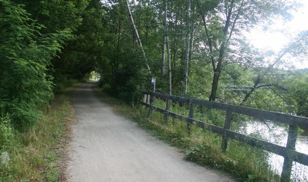 A narrow, paved path flanked by dense greenery and a wooden fence, leading towards a body of water.
