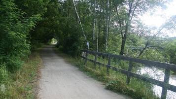 A narrow, paved path flanked by dense greenery and a wooden fence, leading towards a body of water.