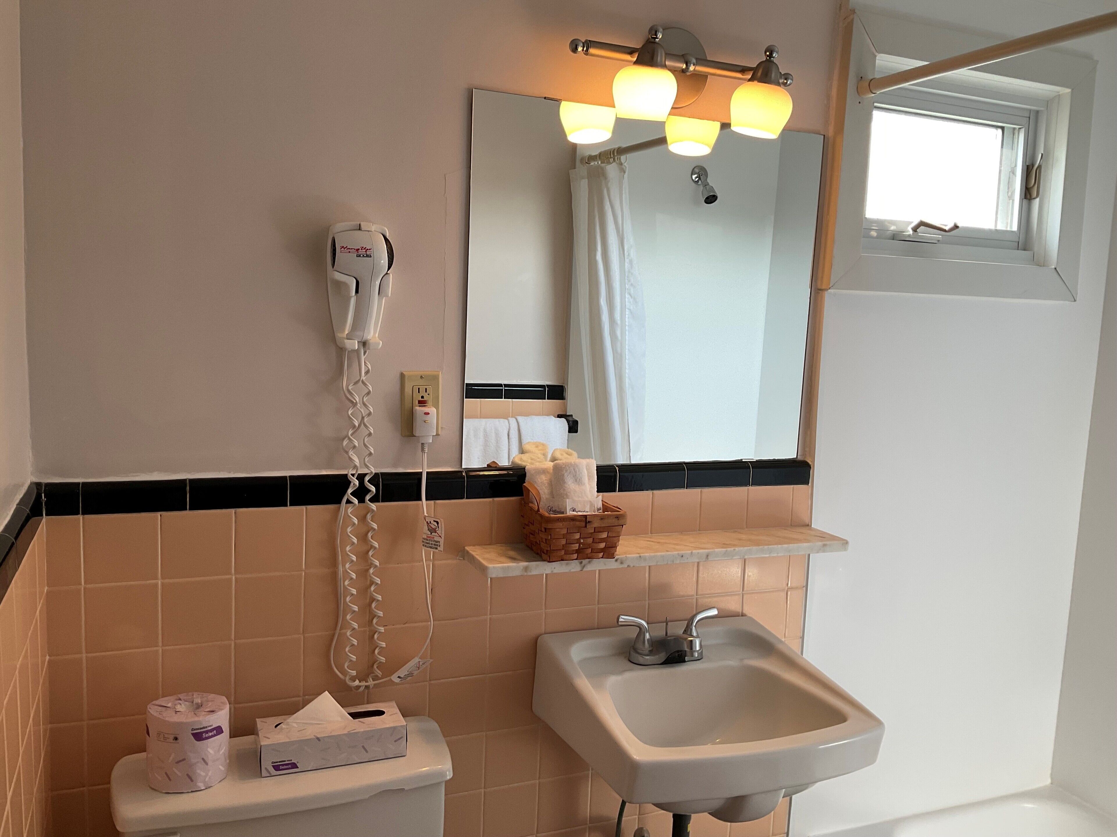 Un baño con inodoro, lavabo, secador de pelo, espejo y estante con artículos de aseo.